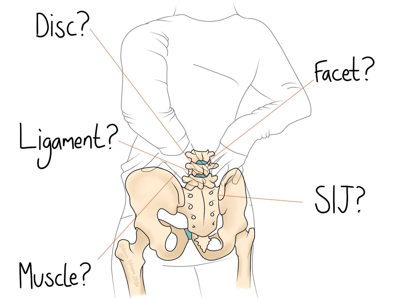 Lower Back Pain - Gemini Osteopathy