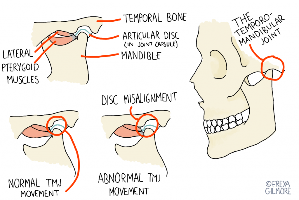 The TMJ: jaw pain clicking - Gemini Osteopathy